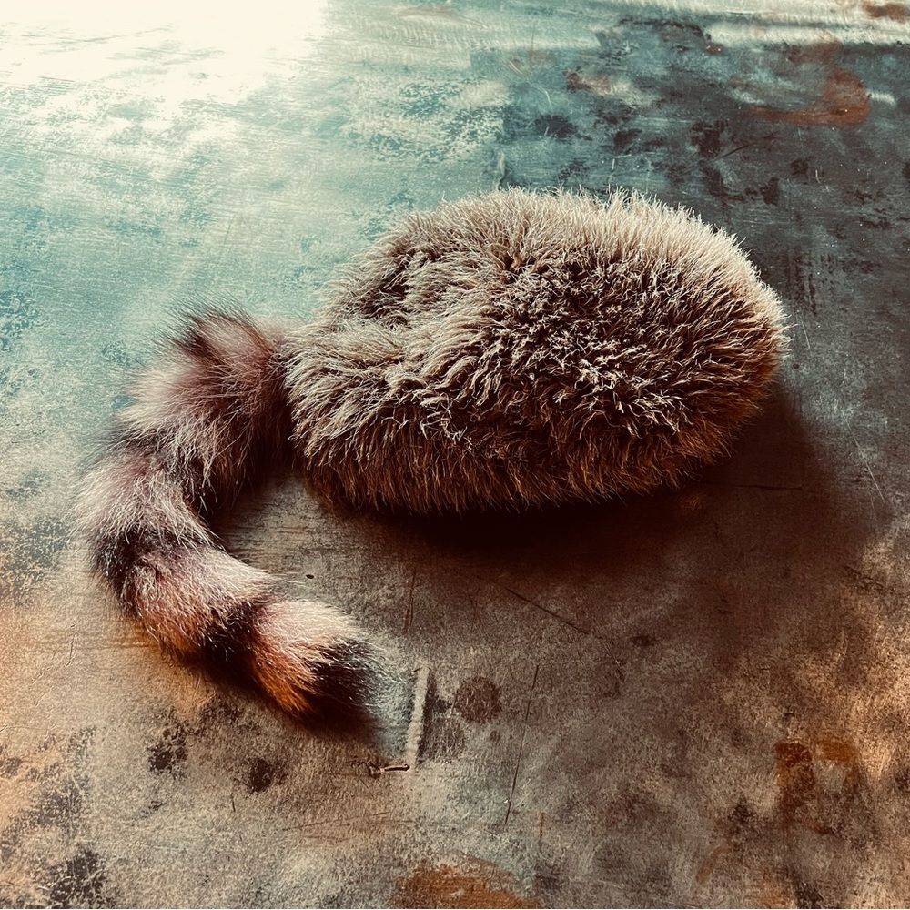 Davie Crocket or Daniel Boone fur hats, for adult and child
